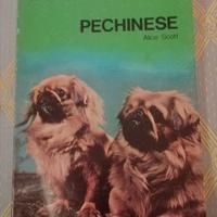 Come allevare ed addestrare il pechinese, A. Scott