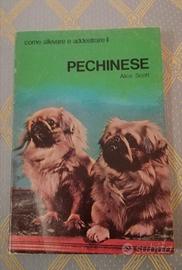 Come allevare ed addestrare il pechinese, A. Scott