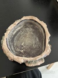 Ciotola acqua per rettili
