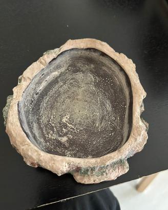 Ciotola acqua per rettili