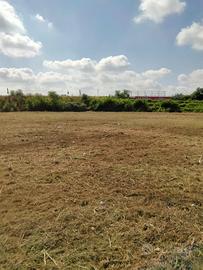 Terreno agricolo di 1350 e 950 mq vicino jambo
