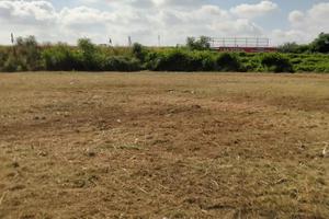 Terreno agricolo di 1350 e 950 mq vicino jambo