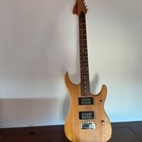 Washburn n1