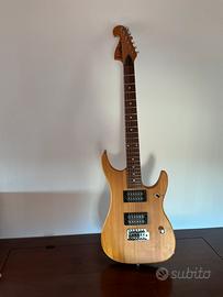 Washburn n1