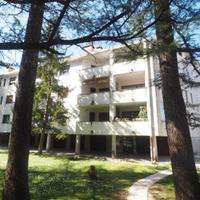 Rif.24138| appartamento trilocale