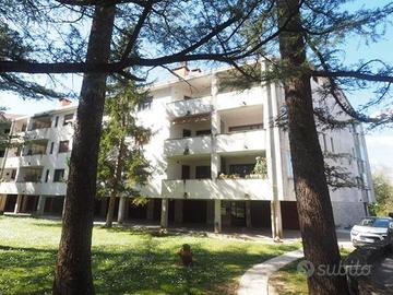Rif.24138| appartamento trilocale