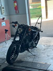 Harley Davidson Roadster 1200 10.000€