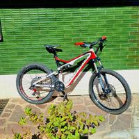 moltotrattabile Specialized Stumpjumper FSR Carbon
