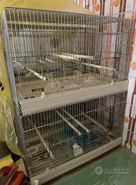 Gabbie per canarini + voliera pappagalli