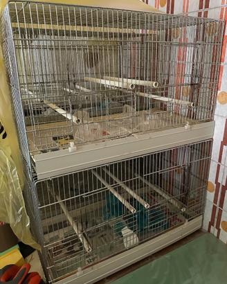 Gabbie per canarini + voliera pappagalli