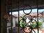 Immagine 12