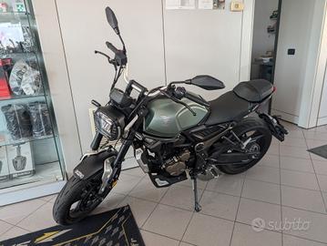 Voge Trofeo 300