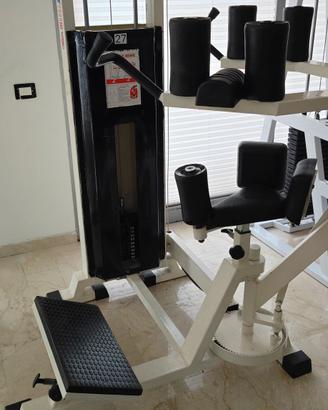 Torsione Machine Panatta