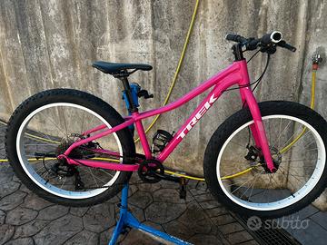 Trek roscoe 24