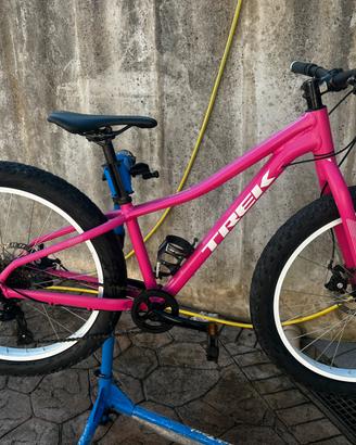 Trek roscoe 24