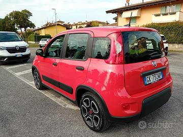 Fiat Panda 1.0 FireFly S&S rosso amore