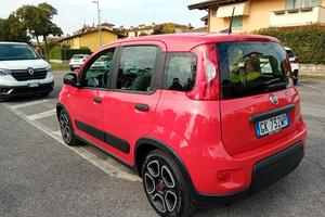 Fiat Panda 1.0 FireFly S&S rosso amore