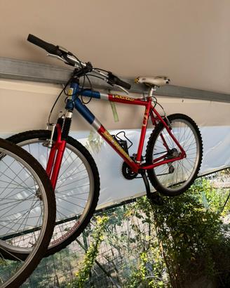 Mountan bike uomo