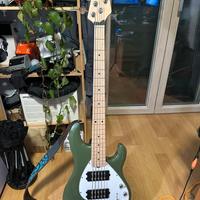 Basso 5 corde Sterling Stingray 5HH subseries