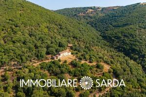 Antico stazzo gallurese con tenuta di 110 ettari |