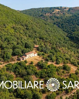 Antico stazzo gallurese con tenuta di 110 ettari |