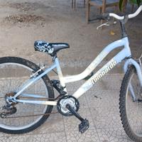 bicicletta