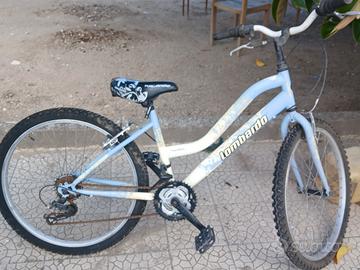 bicicletta