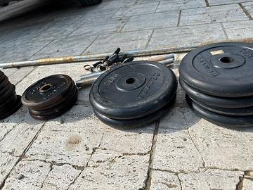 Pesi palestra
