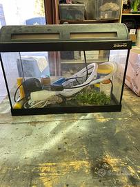 Acquario piccolo