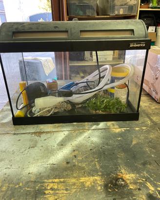 Acquario piccolo