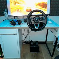 Volante professionale, Xbox e pc da gara