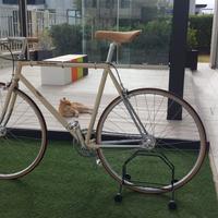 Bianchi Pista via Brera