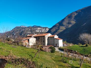 Antica dimora immersa tra montagne e caprioli