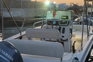 Tendalino come nuovo