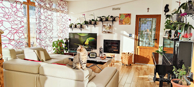 Al prezzo di 230.000,00