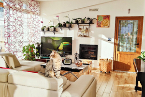 Al prezzo di 230.000,00