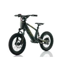 Bici Elettrica Bambini Roan RXF Evo Racing 18 350W