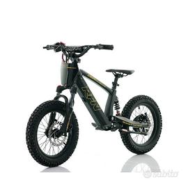 Bici Elettrica Bambini Roan RXF Evo Racing 18 350W