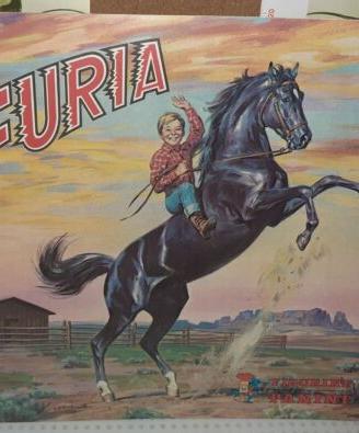 Album figurine vuoto,Furia,vintage panini anni 70