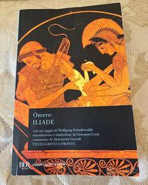 Iliade- Omero