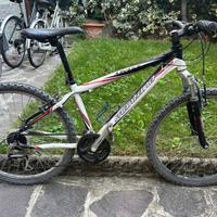 Mountain bike