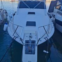 Boston Whaler 31 express