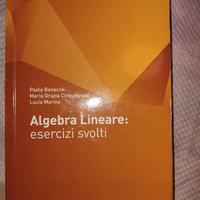 Algebra Lineare Esercizi Svolti 