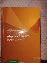 Algebra Lineare Esercizi Svolti 