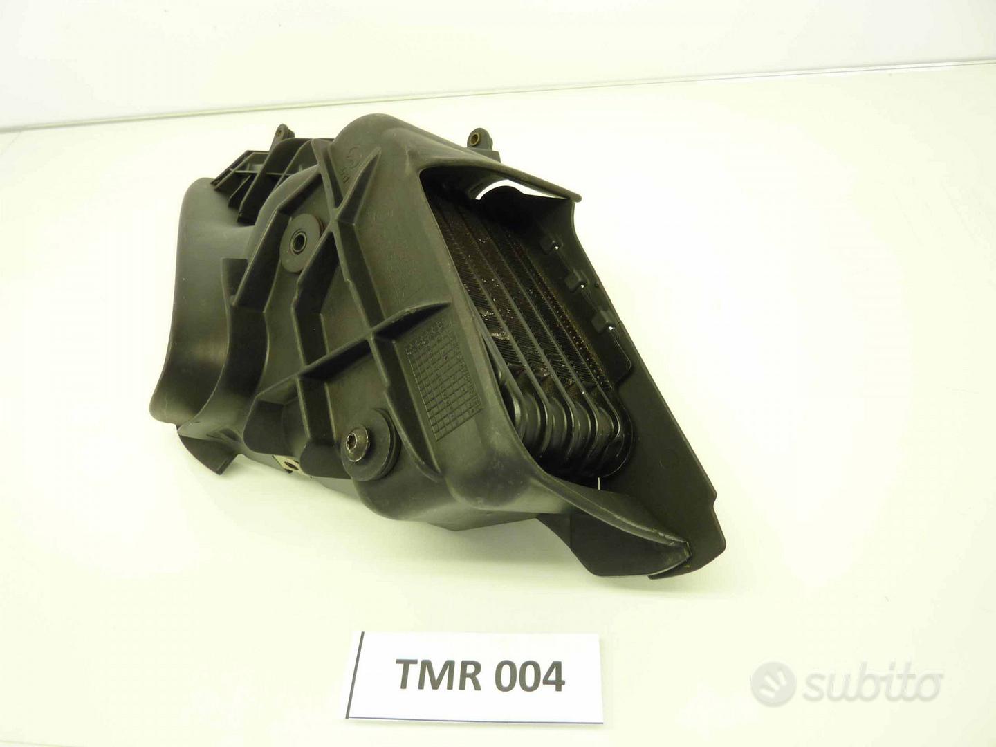 Paraurti radiatore per Tesla Model 3