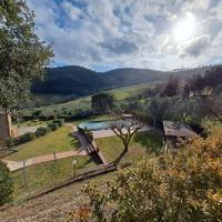 Tenuta agricola in collina Volterra Pisa
