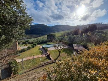 Tenuta agricola in collina Volterra Pisa