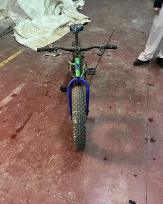 Bici gomme grandi