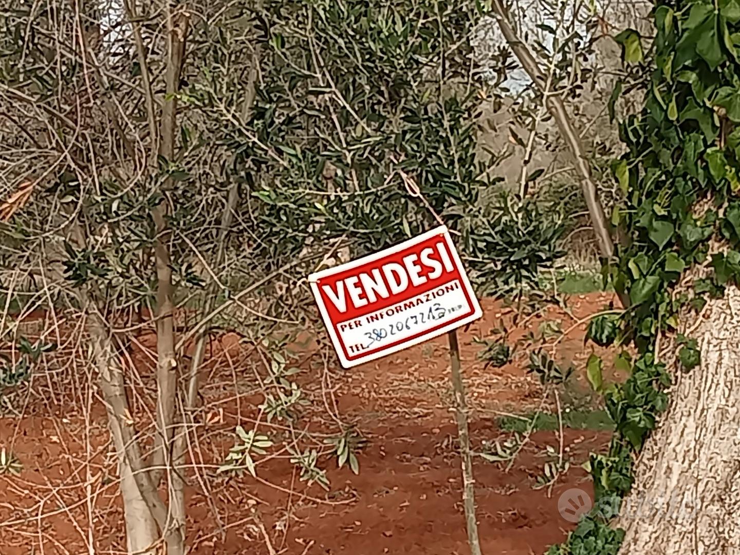 Terreno agricolo - Vista 4