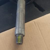 albero spalle piene carenzi